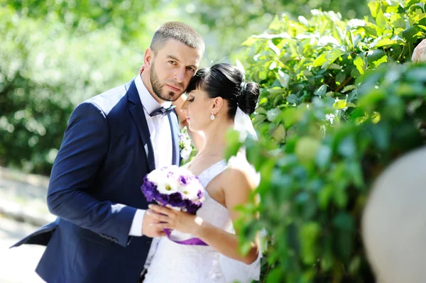 The bride and groom on the background of greenery — Stock Photo, Image