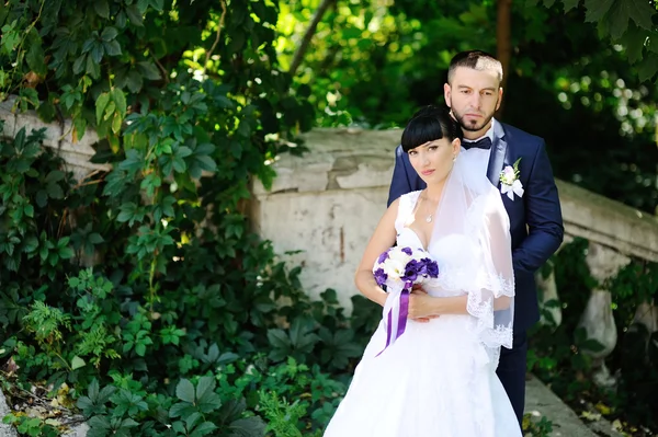Η νύφη και ο γαμπρός στο βάθος της πρασινάδας — Φωτογραφία Αρχείου