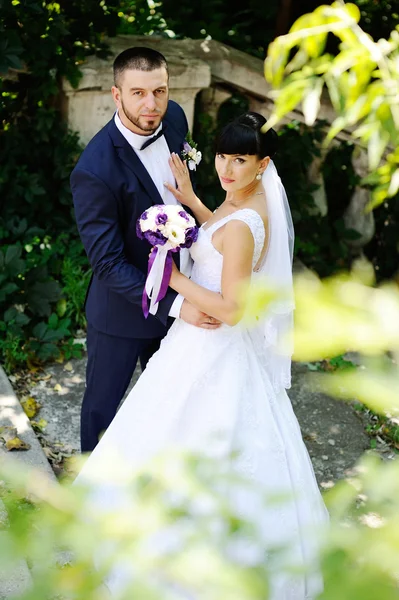 Η νύφη και ο γαμπρός στο βάθος της πρασινάδας — Φωτογραφία Αρχείου