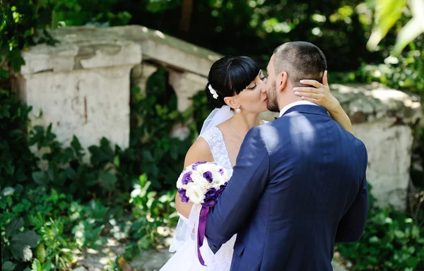 Bride and groom kissing on the background of greenery — Stock Photo, Image