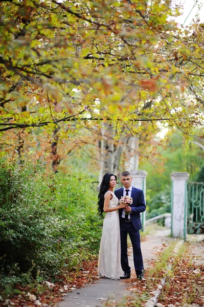 Bruden och brudgummen på bakgrund av höstträd — Stockfoto