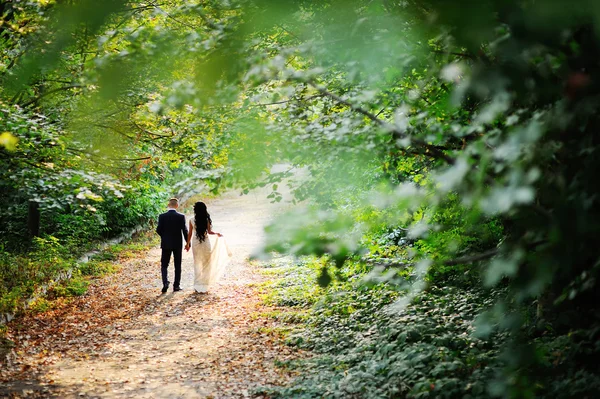 A noiva e o noivo andam de mãos dadas contra um fundo de árvores verdes — Fotografia de Stock