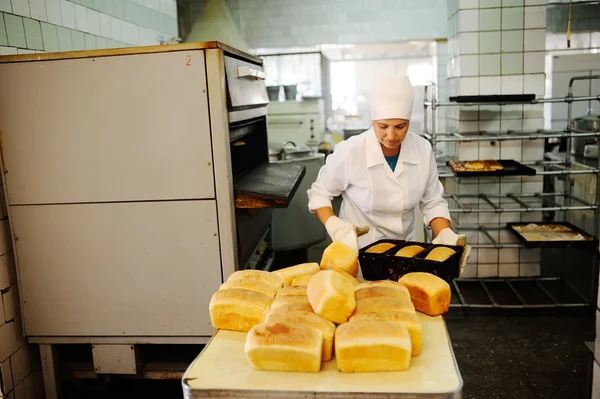 Хліб для випічки на зерновому заводі — стокове фото