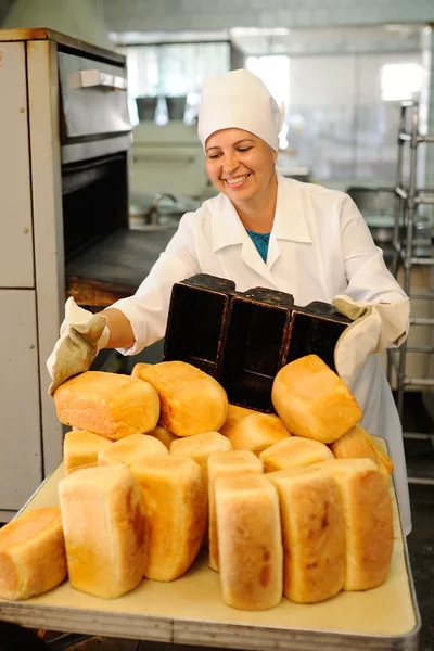 Хліб для випічки на зерновому заводі — стокове фото