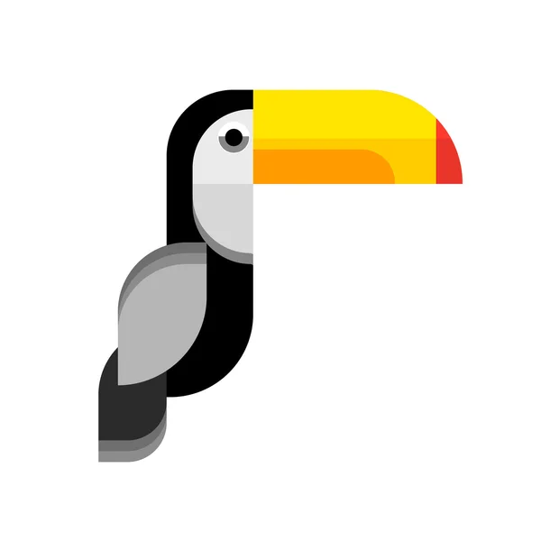 Toucan iz — Stok Vektör