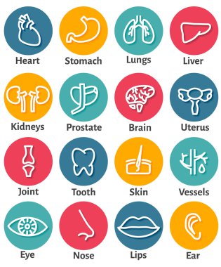 İnsan organları Icon Set