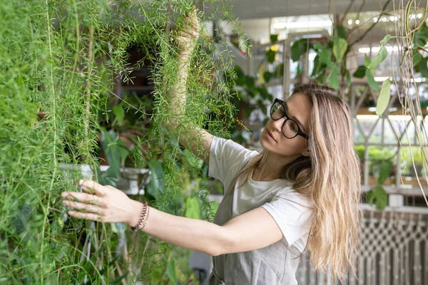 Gioioso Giovane Donna Giardiniere Abito Pegno Toccare Lussureggiante Asparagi Felce — Foto Stock