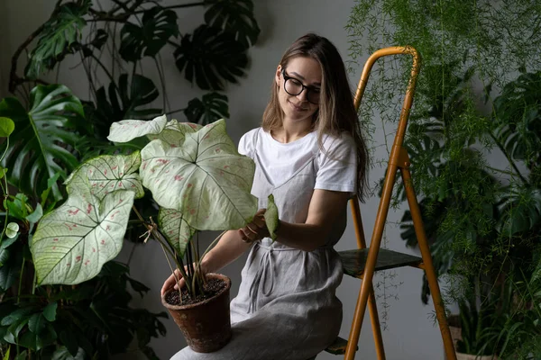 Kvinnliga Trädgårdsmästare Grå Linneklänning Håller Caladium Krukväxt Med Stora Vita — Stockfoto