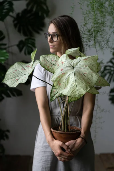 Жінка Садівник Сірому Лляному Платті Тримає Квітку Кімнатна Рослина Великим — стокове фото