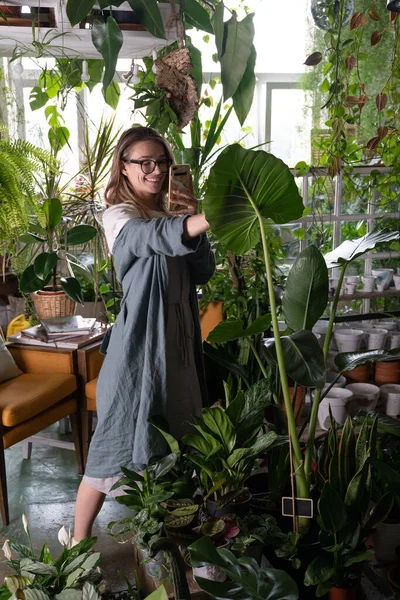 Eine Lächelnde Gärtnerin Grauen Leinenkleid Fotografiert Ein Großes Kaladiumgrünes Blatt — Stockfoto