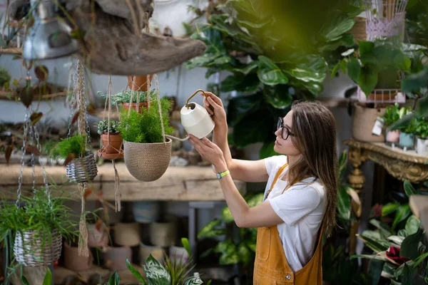 Donna Giardiniere Tuta Arancione Irrigazione Pianta Appartamento Vaso Serra Circondata — Foto Stock