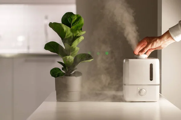 Allumez Main Humidificateur Air Sur Table Maison Direction Vapeur Eau — Photo