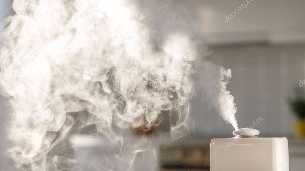 Close up of aroma oil diffuser on the table at home, steam from humidifier, houseplant in pot on background, daylight. Increase in air humidity indoors, comfortable living conditions.Copy space