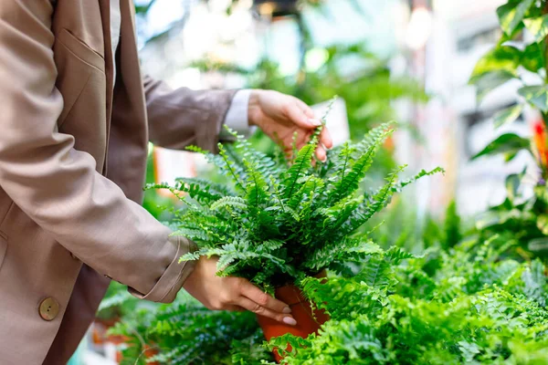 Jardinería Concepto Plantación Mujer Eligiendo Plantas Maceta Exuberante Helecho Nephrolepis — Foto de Stock