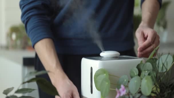 Mão ligue o difusor de óleo de aroma na mesa em casa, vapor do umidificador de ar — Vídeo de Stock