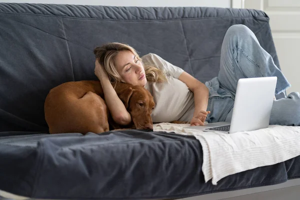 Жінка лежить на дивані, працюючи на ноутбуці з прекрасною собакою-візлою вдома зверху. Ліниве проведення часу — стокове фото