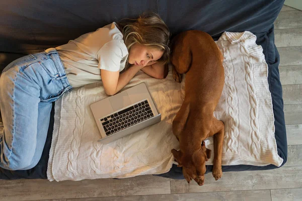 Woman resting lying on couch working on laptop with lovely Vizsla dog at home top view. Lazy pastime