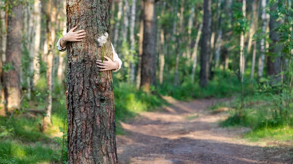 Close Woman Embracing Hugging Tree Trunk Holding Wildflowers Hands Enjoys — стоковое фото