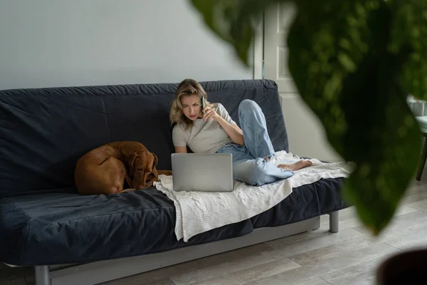 女性は彼女のVizsla犬とソファに横たわって、携帯電話で話し、コンピュータのラップトップでリモートで作業します — ストック写真