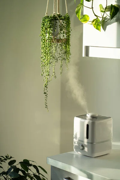 Air humidifier during heating period at home surrounded by houseplants, steam from diffuser — Stock Photo, Image