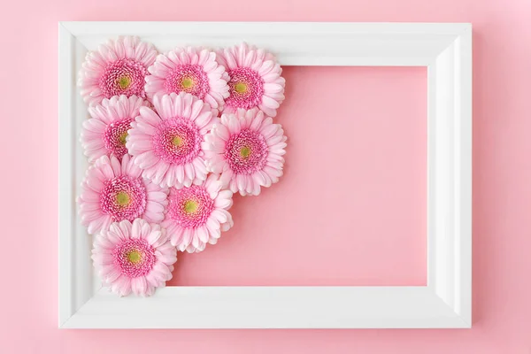 Flache Lage Von Weißem Rahmen Mit Rosa Blumen Gerberas Auf — Stockfoto