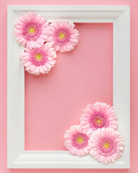 Flache Lage Von Weißem Rahmen Mit Rosa Blumen Gerberas Auf — Stockfoto