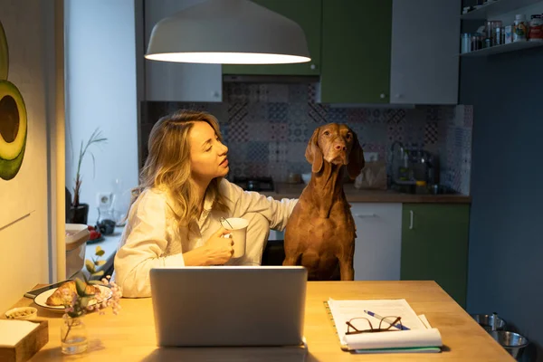 台所で椅子に犬と座ってパジャマで女性,お茶を飲みます.家でゆっくり朝 — ストック写真