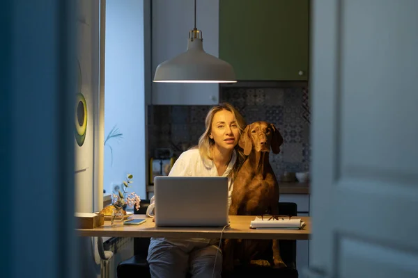 Жінка в піжамі сидить з собакою в кухонній кімнаті, віддалена робота в ноутбуці під час самоізоляції — стокове фото