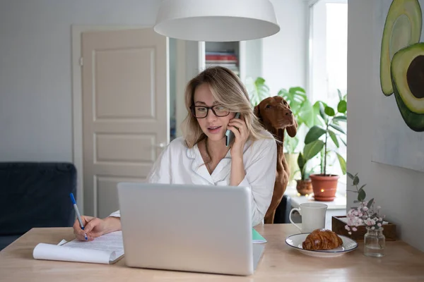 Focused employee woman isitting with dog at home, taking on mobile phone, remote working at laptop — Stock Photo, Image