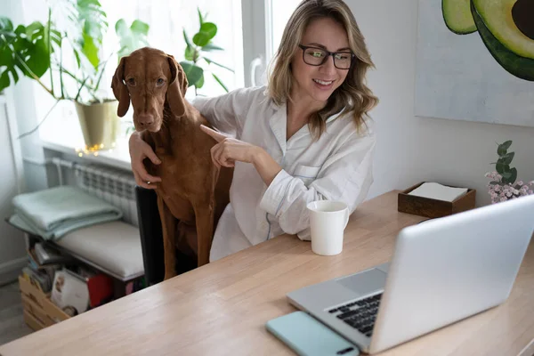Mosolygó nő ölelgeti a Vizsla kutyáját, videóbeszélgetésben beszél a laptopon, ujjal mutogat egy kutyára — Stock Fotó