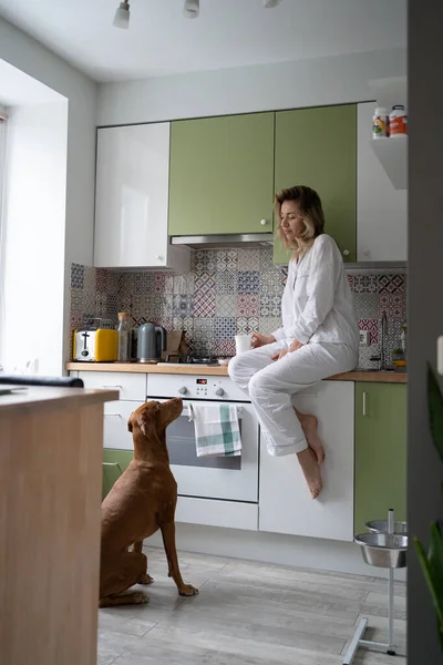 Woman in pajamas sitting in kitchen, drinking tea at home, dog cheats and pretends to be hungry. — Stock Photo, Image