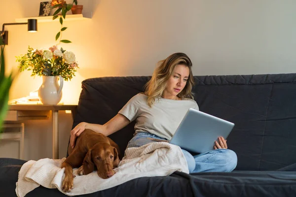Nő ül a kanapén, simogatja a kutyáját, és dolgozik laptop, szörfözés web otthon a nappaliban — Stock Fotó