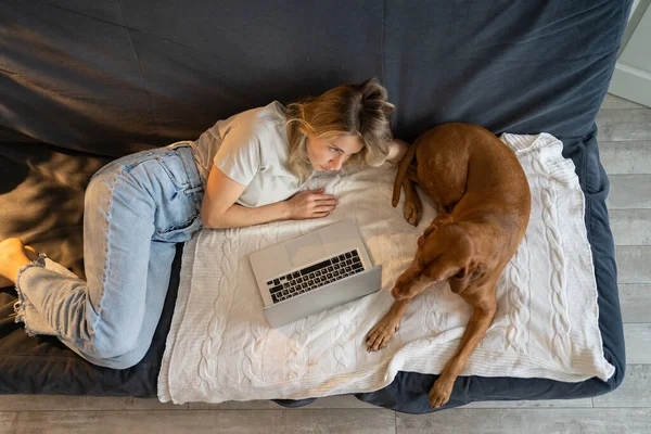거실에서 사랑 스러운 개와 함께 노트북으로 일하며 소파에 누워 쉬고 있는 여자, 맨 위 뷰. — 스톡 사진