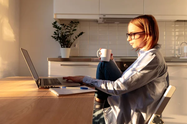 Young Woman Freelancer Glasses Using Laptop Communicates Internet Customer Sunny — Stock Photo, Image