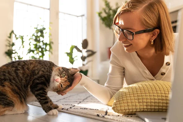 ガラスの中で自由人の笑顔の女性は 自宅のリビングルームのカーペットの上にあり 猫と一緒に脳卒中や遊びます 猫はノートパソコンでの作業に干渉します 愛のペット — ストック写真