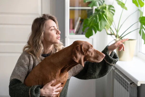 Happy woman owner and dog sitting on windowsill, holding cup of coffee, looking through the window — Stock Photo, Image