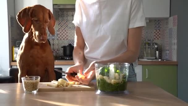 Женщина режет сыр с ножом на борту, чтобы сделать песто соус, готовить на кухне дома, собака попрошайничает пищу — стоковое видео