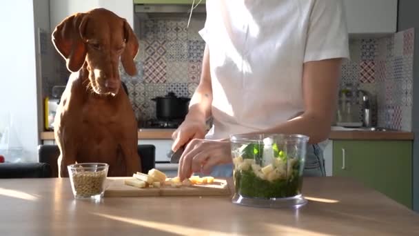 Женщина режет сыр с ножом на борту, чтобы сделать песто соус, готовить на кухне дома, собака попрошайничает пищу — стоковое видео
