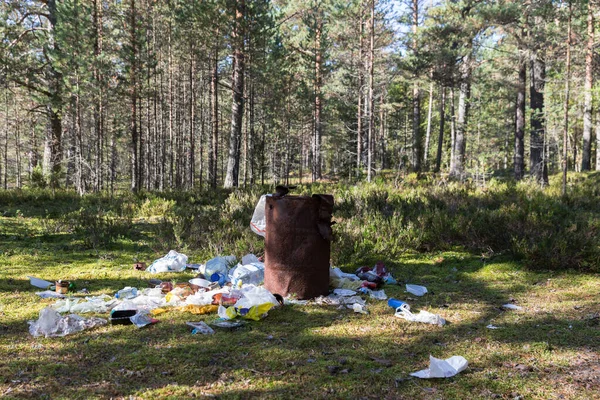 Environment pollution, rubbish concept. Garbage dump in the forest, rusty metal barrel with garbage, different garbage on the ground in the pine forest