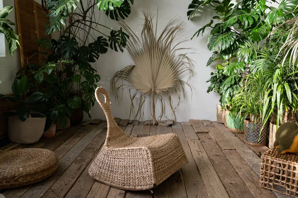 Fedett kert, elegáns nappali fonott bútorokkal, szobanövények kosárban és régi padlón — Stock Fotó
