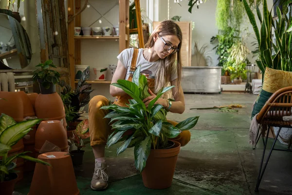 Jardín casero, concepto de cuidado de plantas. Mujer joven en mono replantando planta de interior en invernadero grande —  Fotos de Stock