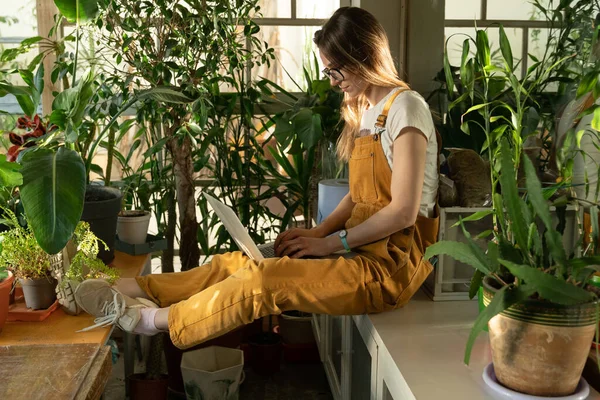 Mujer joven navegando con portátil rodeado de plantas de interior. Jardinero femenino trabajando en la computadora —  Fotos de Stock