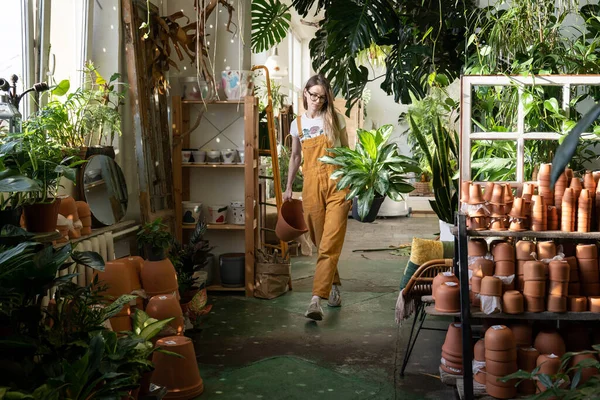 Businesswoman florist work in houseplants store. Woman gardener carrying home plant for replanting — Stock Photo, Image