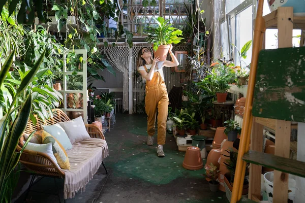 Casa de jardinería y cuidado de plantas concepto hobby. Jardinero femenino con planta grande en maceta. Florista en el trabajo — Foto de Stock
