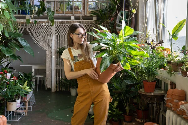 Genç bayan bahçıvan, saksıyı saksıyla birlikte tut. Ev bahçesindeki çiçekçiyle ilgileniyor. — Stok fotoğraf