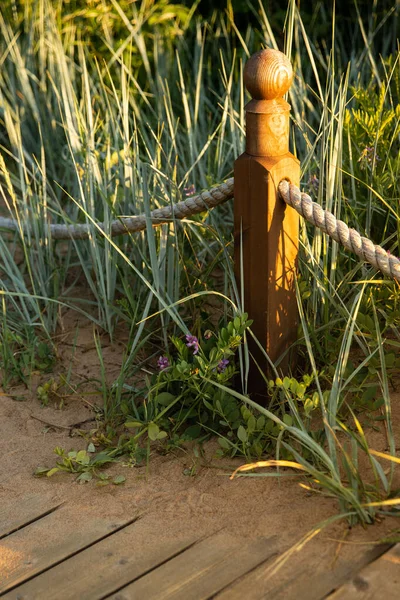 Close Wooden Pole Rope Nature Trail Dunes — Foto de Stock