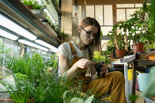 Cuidado femenino joven de las plantas en macetas después del trabajo, relajarse en el jardín interior. Mujer empresaria florista —  Fotos de Stock