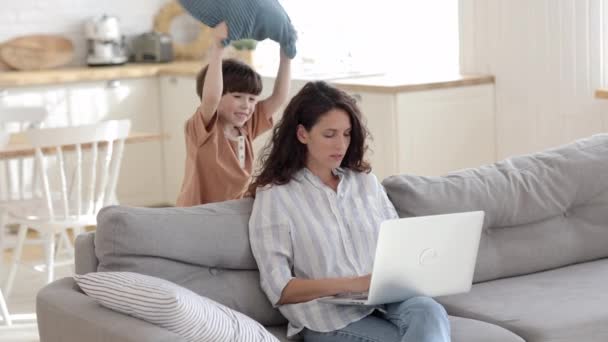 Mãe empresária trabalho de casa no laptop exausto por filho ativo irritante bateu-lhe com travesseiro — Vídeo de Stock