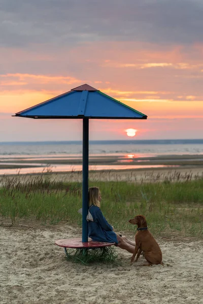 Calm woman enjoy sunset at beach with dog friend relax pondering. Female owner and pet silhouettes