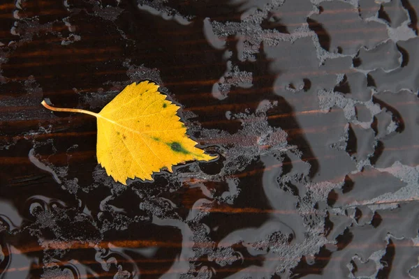 Gefallenes Einzelnes Herbstgelbes Blatt Auf Der Nassen Holzoberfläche Nach Regen — Stockfoto